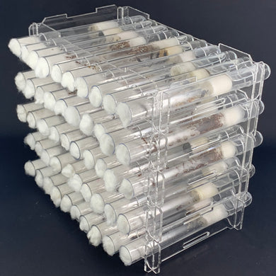 Queen Ant Test Tube Racks