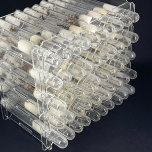 Queen Ant Test Tube Racks