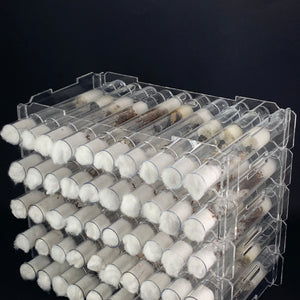 Queen Ant Test Tube Racks