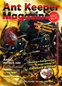 Ant Keeper Magazine – Ausgabe 1