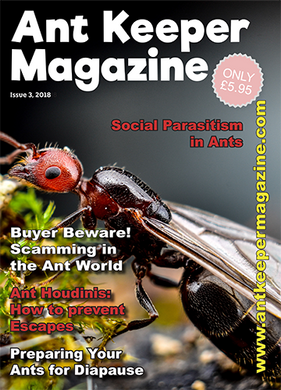 Ant Keeper Magazine - Issue 3