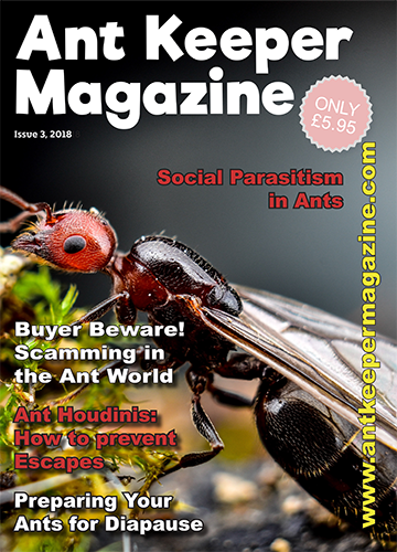 Magazine Ant Keeper - Numéro 3