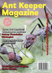 Magazine Ant Keeper - Numéro 4