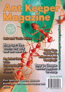 Magazine Ant Keeper - Numéro 6
